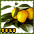 Mangue